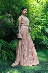 Beige Ambi Paisley Lehenga Setuntitled (4 of 6)